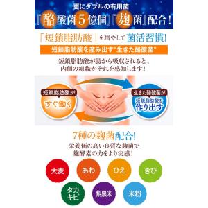 乳酸菌 サプリ 酪酸菌 サプリメント 生菌活フ...の詳細画像3