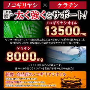ノコギリヤシ サプリメント ケラチン 亜鉛 F...の詳細画像5