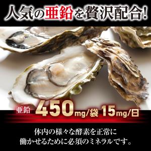 ノコギリヤシ サプリメント 育毛 ケラチン 亜...の詳細画像3