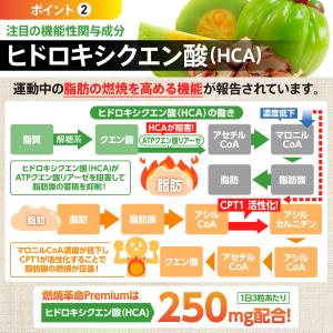ダイエット サプリメント 機能性表示食品 燃焼...の詳細画像4