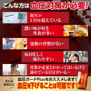血圧を下げる サプリメント GABA ギャバ ...の詳細画像3