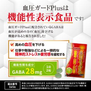 血圧を下げる サプリメント GABA ギャバ ...の詳細画像4