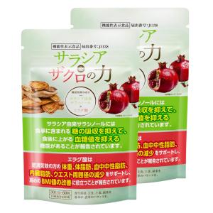 ダイエットサプリメント サラシノール エラグ酸...の詳細画像1