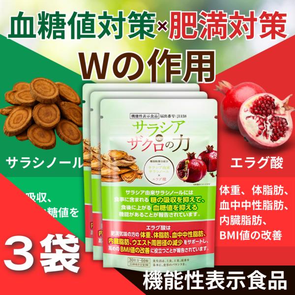エラグ酸 ダイエットサプリメント サラシノール サラシア＆ザクロの力 機能性表示食品 3袋セット