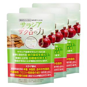 ダイエットサプリ エラグ酸 サラシノール サラ...の詳細画像1