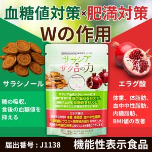 エラグ酸 ダイエットサプリメント サラシノール...の詳細画像2