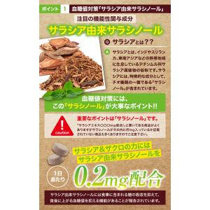 エラグ酸 ダイエットサプリメント サラシノール...の詳細画像5