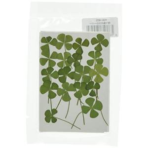 四つ葉のクローバー 押し花の商品一覧 通販 Yahoo ショッピング