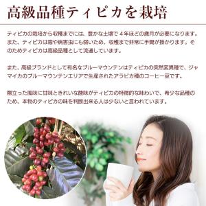 母の日 コーヒー豆 焙煎したて 亀岡珈琲 50...の詳細画像2