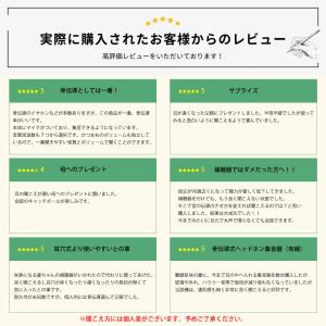 【2000円OFFクーポン】骨伝導 集音器 高...の詳細画像4