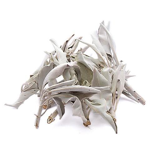 ホワイトセージ（5-6グラム）