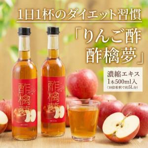リンゴ酢 スリム 酢檎夢 無添加 国産 5倍 濃縮 500ml 松田リエ 監修 信州 りんご酢 ギフト プレゼント 林檎酢 砂糖不使用 酢酸菌 リンゴ 飲むお酢 ダイエット