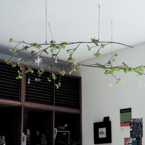 フェイクグリーン デコレーション ドウダンツツジ 壁面 長さ100cm オブジェ インテリア 天井 壁面 F 001 ベルメゾン インテリア Yahoo 店 通販 Yahoo ショッピング