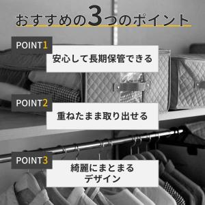 収納袋 衣類収納袋 消臭 抗菌 小 衣類収納 ...の詳細画像1