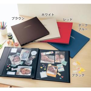 DELFONICS（デルフォニックス） PDフォトアルバム 【Lサイズ用 粘着