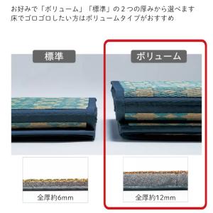 い草ラグ ラグ ラグマット 夏用 夏用ラグ い...の詳細画像5