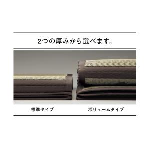 ラグ カーペット ラグマット 夏用ラグ い草ラ...の詳細画像5
