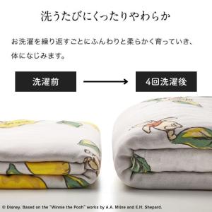 ガーゼケット シングル 洗える 掛け布団 掛布...の詳細画像3