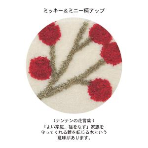 玄関マット マット ラグ 敷物 エリアラグ フ...の詳細画像1
