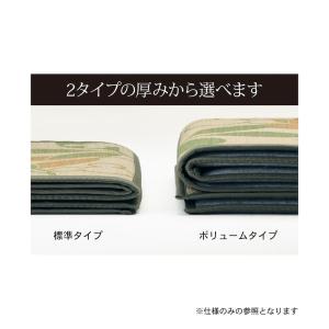 ラグ カーペット ラグマット 夏用ラグ い草ラ...の詳細画像4