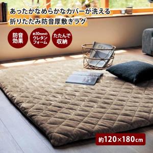 Jarapa ハラパラグ／アンディナ：約170×240cm（リサイクルラグ