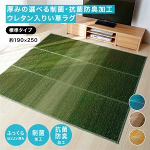 代引不可』イケヒコ Fブロック2 純国産 い草ラグカーペット 約191
