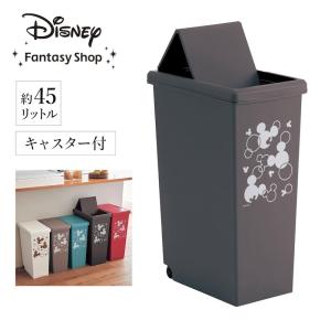 ダストボックス ゴミ箱 リビング 寝室 子供部屋 ダイニング Disney ディズニー キャラクター かわいい 分別 お揃い カラバリ おしゃれ｜bellemaison