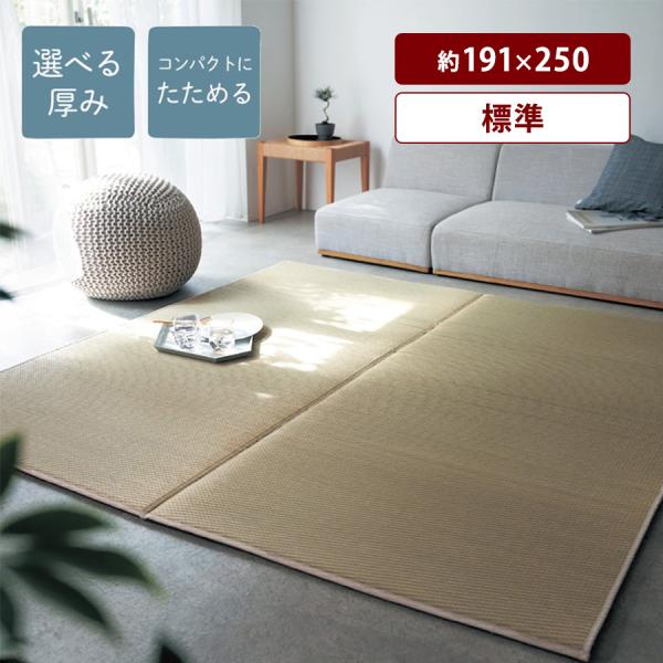 ラグ カーペット ラグマット 夏用ラグ い草ラグ 夏 マット エリアラグ エリアマット い草 夏用 ...