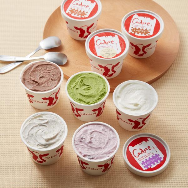 カドーレ ジェラート セット いろんな味が楽しめる ジェラートセット ギフト プレゼント 贈り物 c...