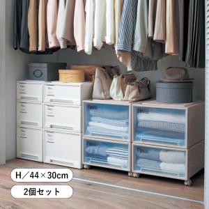 収納ケース 収納 クローゼット 衣装 ケース ボックス 衣替え 日本製 ユニット 2個セット FITS フィッツ H／44×30