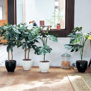 タカショー 【室内用】 人工植物 グリーングッズ 人工苔 苔マット (GN