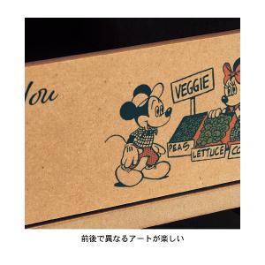 収納ボックス ボックス 収納小物 収納雑貨 収...の詳細画像3