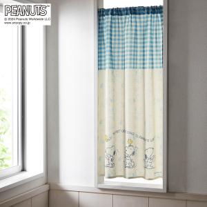 DYTÅG カーテン2枚セット ➕RIKTIG1ケースのセット イケア（IKEA） IKEA - - RIKTIG -リクティーグ- カーテンフック