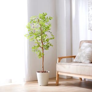 フェイクグリーン ゴールデンリーフの商品画像