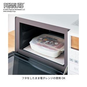 ランチプレート 皿 食器 お皿 プレート 深型...の詳細画像4