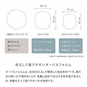 バランスボール オーバル型 フィットネスグッズ...の詳細画像2