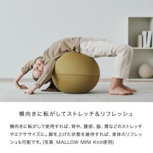 バランスボール オーバル型 フィットネスグッズ...の詳細画像5