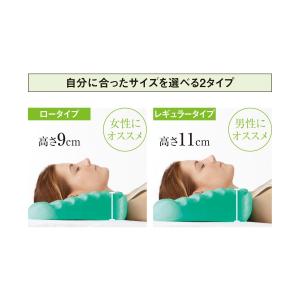 肩凝り・首の痛み対応まくら　ＢＯＤＹ　ＡＤＪＵＳＴ  レギュラータイプ ロータイプ