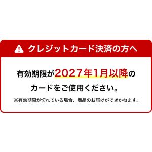 おせち 2027 キャラクターおせち 洋風 和...の詳細画像1