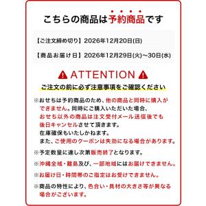 おせち 2027 キャラクターおせち 洋風 和...の詳細画像2