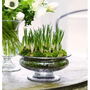 iittala イッタラ アルヴァアアルト フラワーベース 120mm 12cm