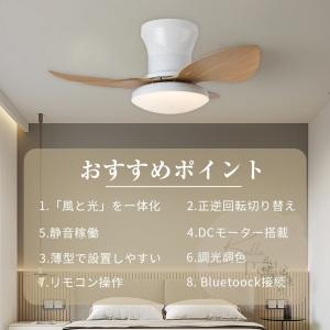 シーリングファンライト DCモーター 首振り ...の詳細画像1