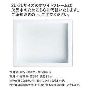 父の日 プリザーブドフラワー フレーム 花 ギ...の詳細画像2