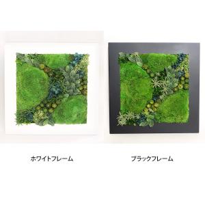 クリスマス プリザーブドフラワー #グリーンフ...の詳細画像2