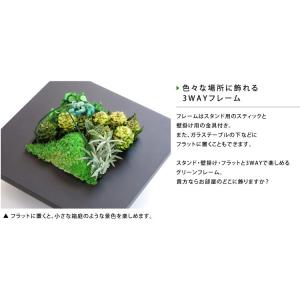 クリスマス プリザーブドフラワー #グリーンフ...の詳細画像5