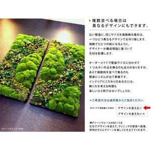 プリザーブドフラワー #グリーンウォール【80...の詳細画像3