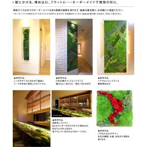 プリザーブドフラワー #グリーンウォール【80...の詳細画像5