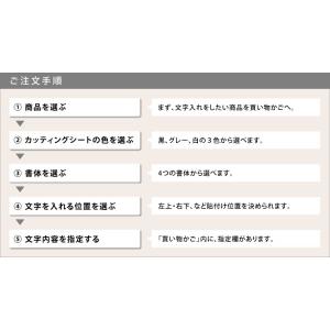 文字入れ 名入れ 指定 #カッティングシート【...の詳細画像3