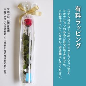 (単品購入不可・花はついていません)#ステム付き...の商品画像