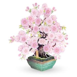 グリーティングカード 八重桜 SAKURA 盆栽 ポップアップカード